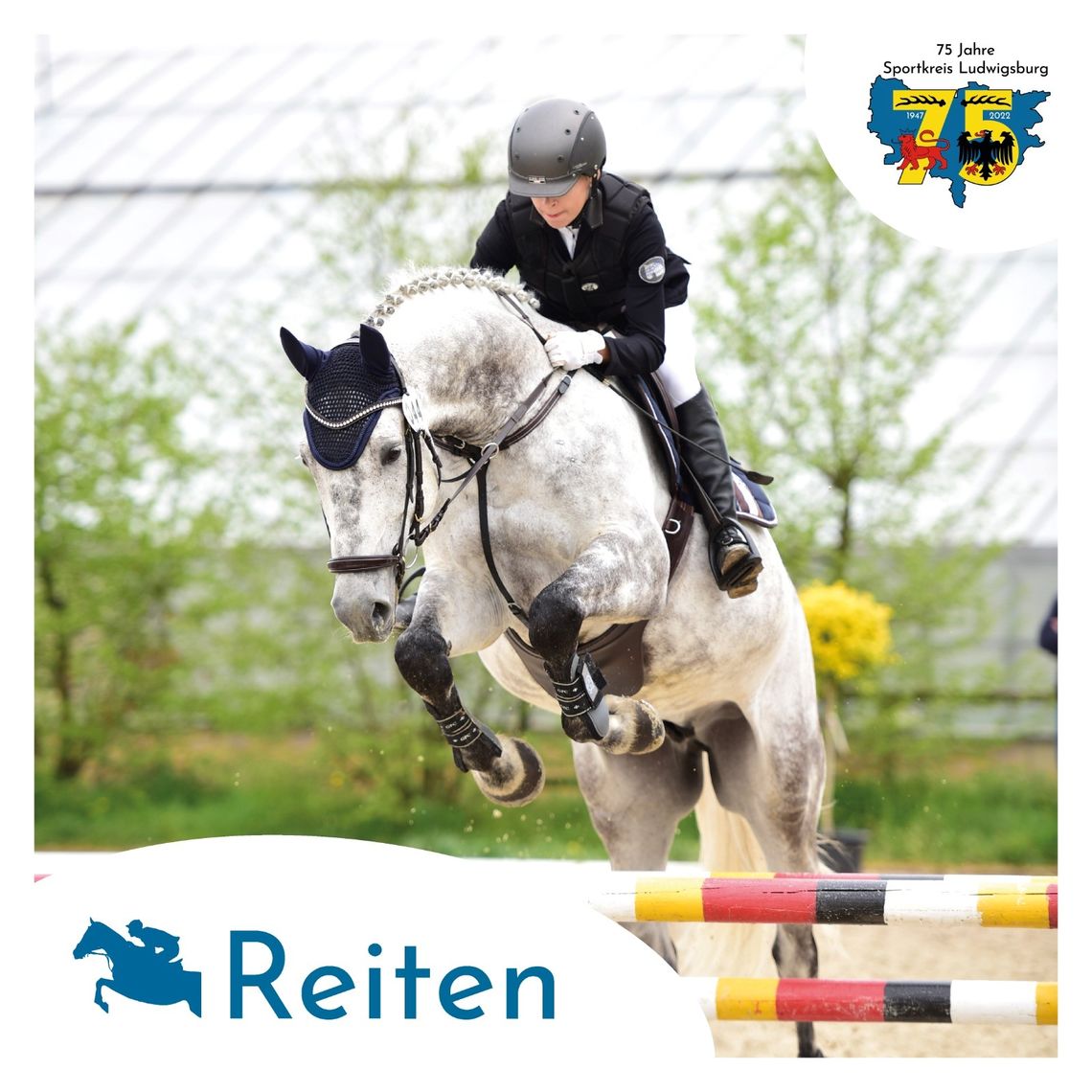 csm_Reiten_f278a72466.jpg