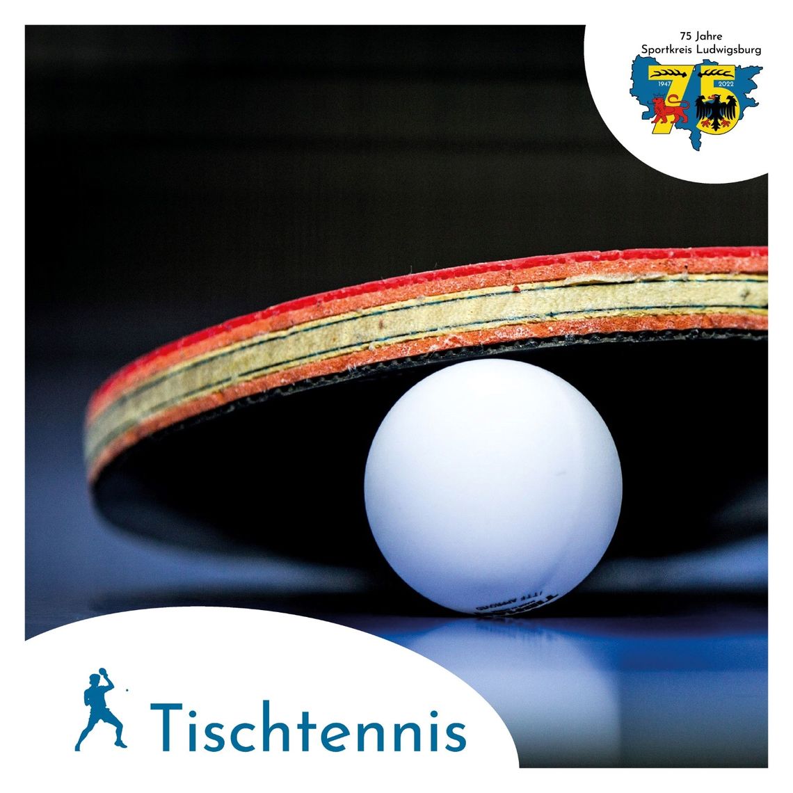 csm_Tischtennis_c60dc15955.jpg