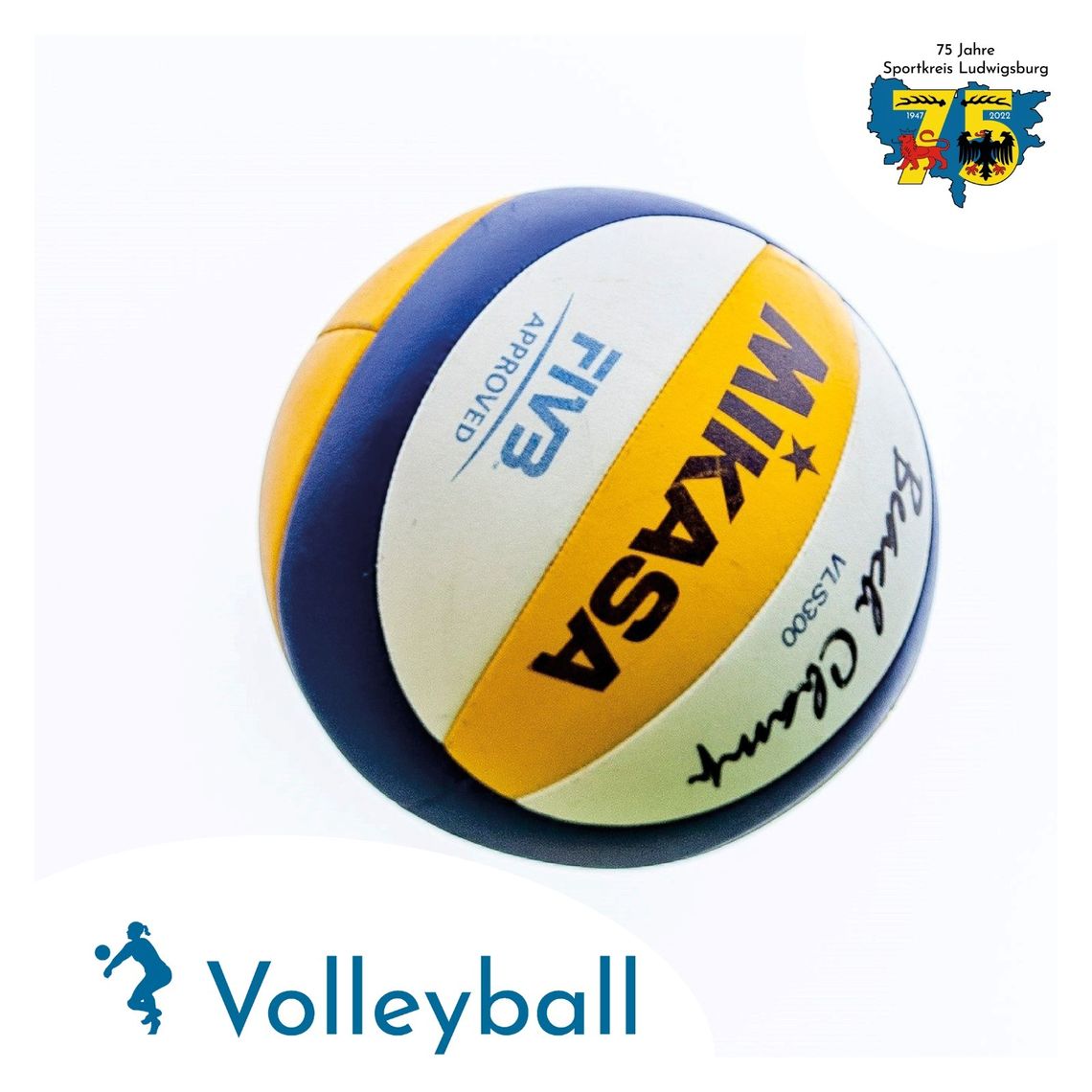 csm_Volleyball_1ee05737fd.jpg